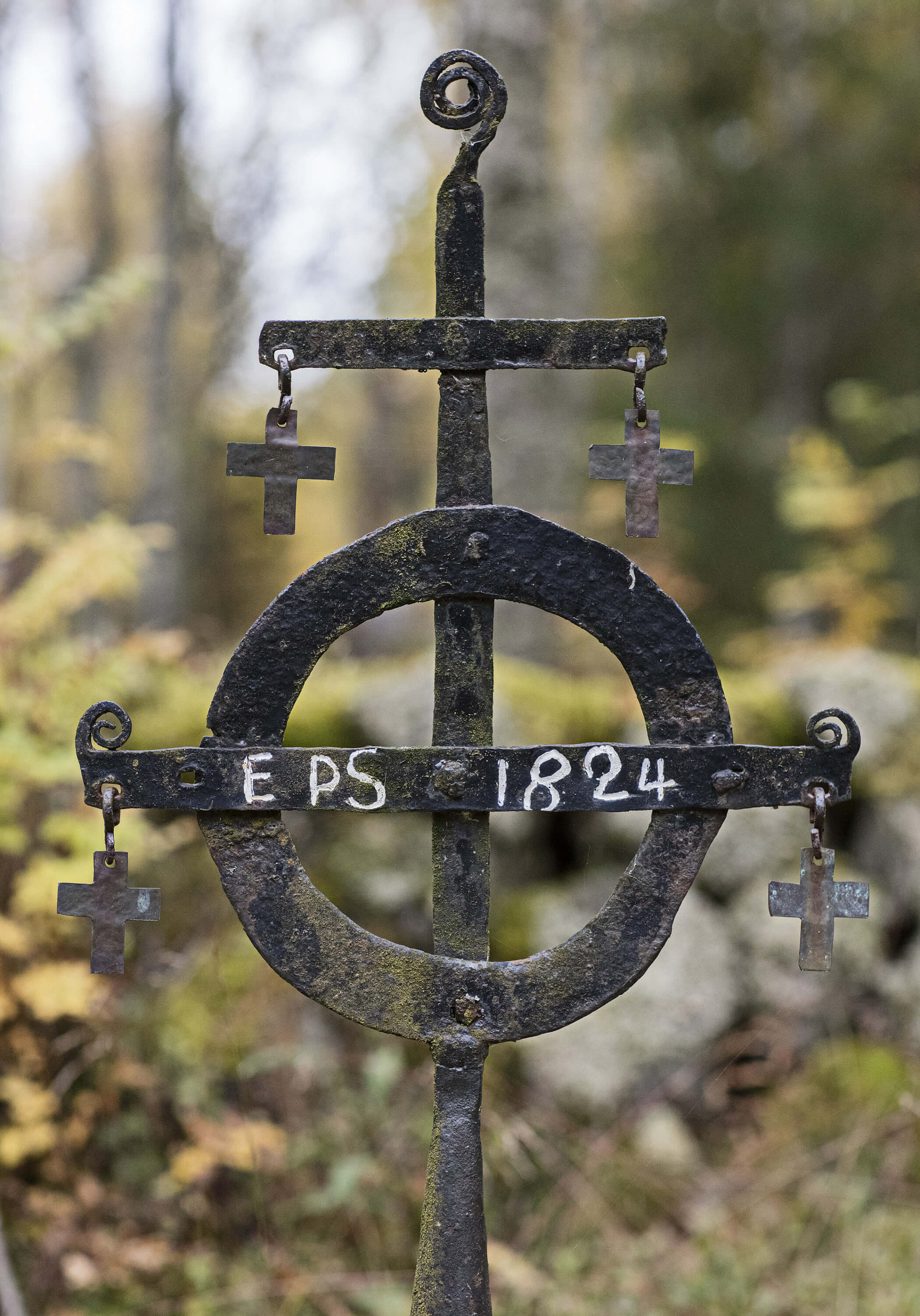 _DSR5964_lowres